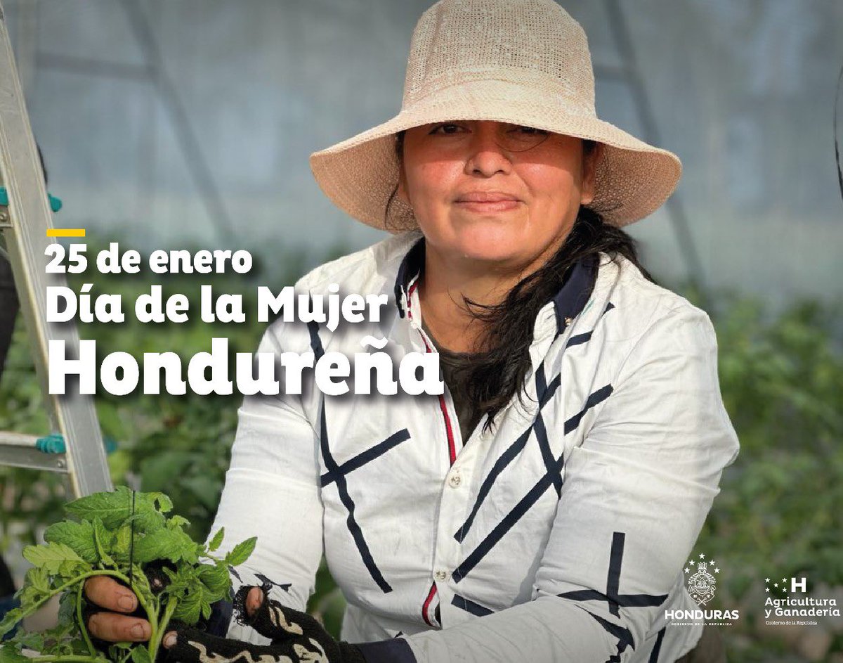 saghonduras's tweet photo. 🛑 La participación de la mujer 🧑🏻‍🌾 en el sector agrícola 🌾 es decisiva, y genera orgullo y admiración ver la dedicación y entusiasmo que dedican a su labor. 

¡Feliz Día de la Mujer Hondureña! 🇭🇳

#UnidosPorElAgro #VolvimosAlCampo #XiomaraSíCumple https://t.co/spPKIEoYKM