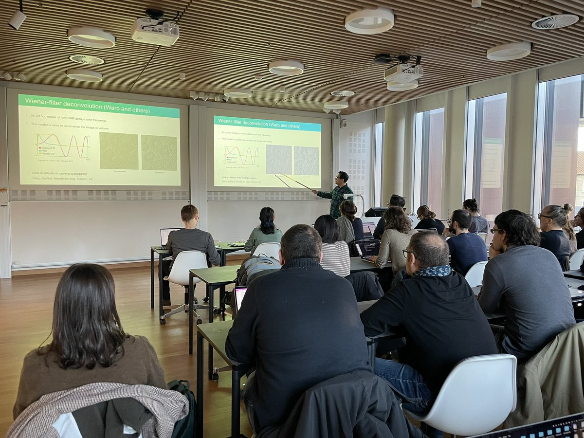 Eva Kummer tweet media