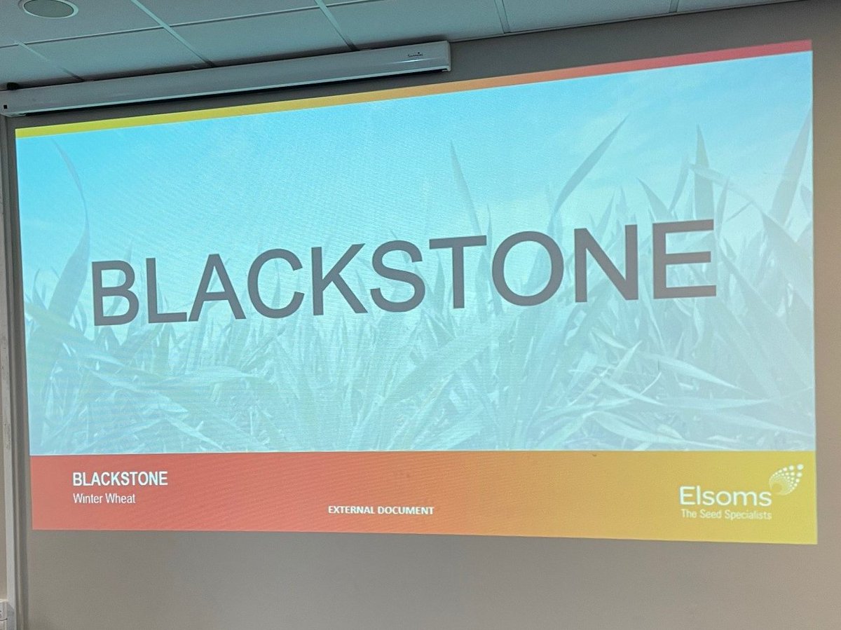 Toby Reich (@behind_the_seed) on Twitter photo Informative fun briefing at <a href="/grain_co/">GrainCo</a> in Darlington. <a href="/Elsomsseeds/">Elsoms Seeds</a> <a href="/FraserHugill/">Fraser Hugill</a> <a href="/BASFcropUK/">BASF Agricultural Solutions UK</a> <a href="/niabgroup/">Niab</a>. Great turn out and excellent chats about BAMFORD and BLACKSTONE wheats. Grain Markets. Polysulphates. SFI. Inputs. #BehindTheSeeds Informative fun briefing at <a href="/grain_co/">GrainCo</a> in Darlington. <a href="/Elsomsseeds/">Elsoms Seeds</a> <a href="/FraserHugill/">Fraser Hugill</a> <a href="/BASFcropUK/">BASF Agricultural Solutions UK</a> <a href="/niabgroup/">Niab</a>. Great turn out and excellent chats about BAMFORD and BLACKSTONE wheats. Grain Markets. Polysulphates. SFI. Inputs. #BehindTheSeeds