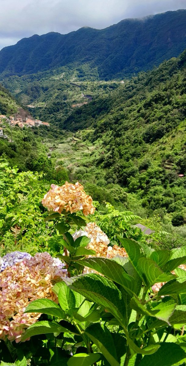 Madeira Island 🌺🍀

#Travel  
#nature #NaturePhotography #naturelovers #NatureBeauty #nature_photo #natureisamazing #natureshot #natureshots #NatureIsBeautiful