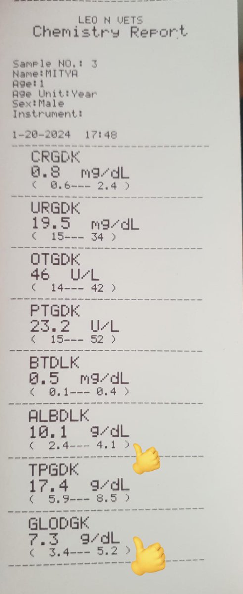 elmo_ngapain's tweet photo. hai gaes, update soal Mitya niih. jadi setelah ngobrol sam tim #BasmiFIP , angka2 ini sebenernya masih ketinggian untuk dibilang normal 😅 kayanya masih ada virusnya di Mitya walaupun tesnya negatif.
jadi Mitya masih perlu menjalani #PengobatanFIP sampai test berikutnya 😅 https://t.co/9iBfnBRARR