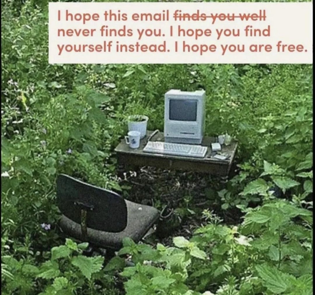 𝖇𝖊𝖆𝖗 tweet media