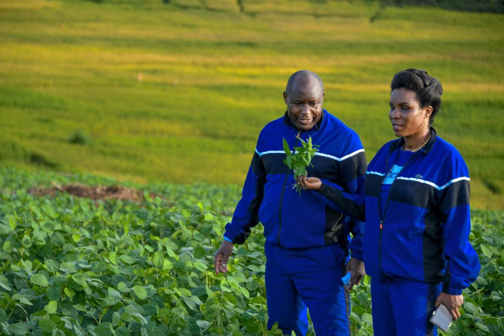 We all need to Support Our dear President in the work of developing the country🇧🇮
Vive <a href="/GeneralNeva/">SE Evariste Ndayishimiye</a>