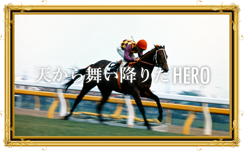 HEROFile #トウショウボーイ 【圧倒的なスピードと雄大で美しい馬体