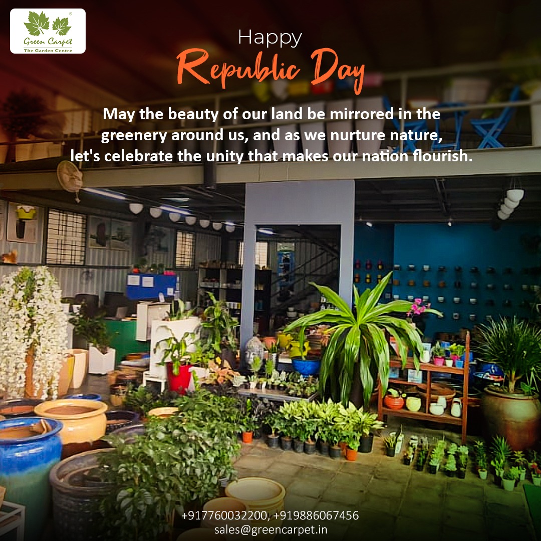 Wishing you a Happy Republic Day!
May the lush greenery around us symbolize the unity and strength that makes our nation thrive. 🌿💖

#republicday #happyrepublicday #republicday2024 #greencarpet #planters #plantlover #plantbeauty #hope #pride #unity #Buy2Get1Free
