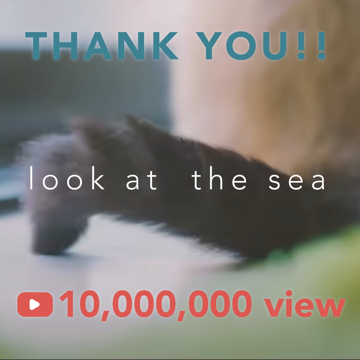 OisicleMelonpan's tweet photo. ＼ ㊗️1000万回再生🎊 ／

おいしくるメロンパン「look at the sea」
https://t.co/KaZWzsiZFd

たくさん聴いてくださりありがとうございます！
これからも是非、何度でも聴いてくださいね🐈 https://t.co/JGWbbjQ38r
