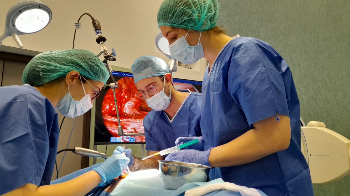 IAVANTE_FPS's tweet photo. 📸 Os compartimos estas fotografías de las prácticas del curso de `Entrenamiento avanzado en abordajes quirúrgicos espinales´ que se están desarrollando en los quirófanos del Centro de Simulación Clínica de Granada #IAVANTEsimulación. @RafaelGSola #SOANNE ⬇️⬇️⬇️ https://t.co/PJMXWm2XRH