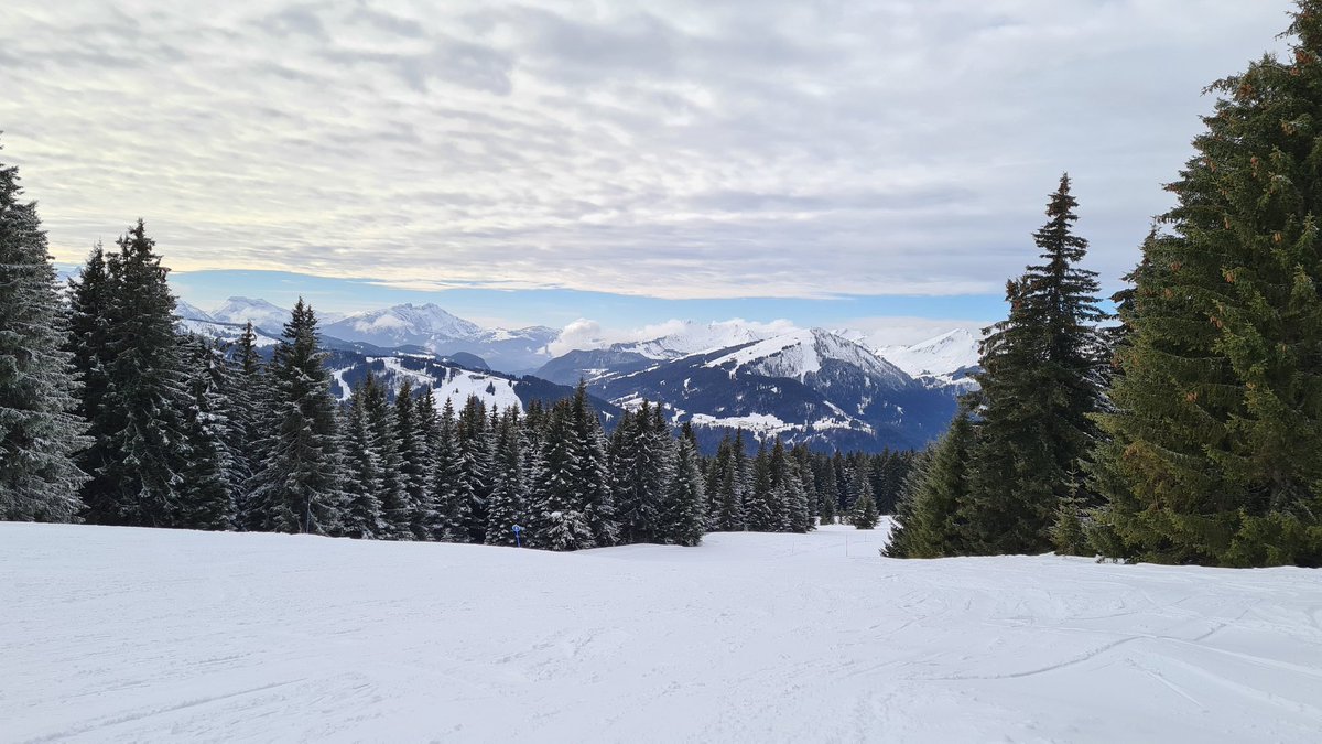 duk 🐔 tweet media