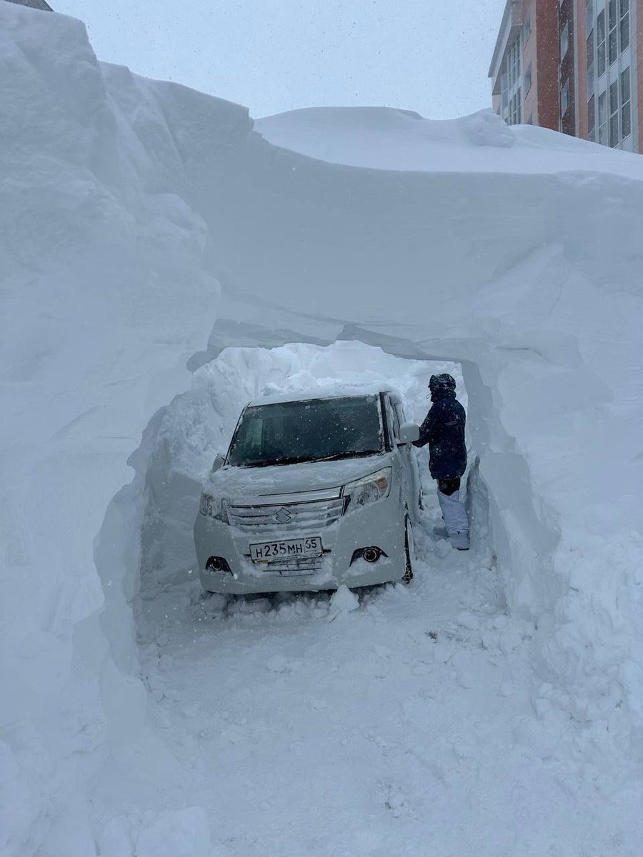 Arkadiy Gershman tweet media