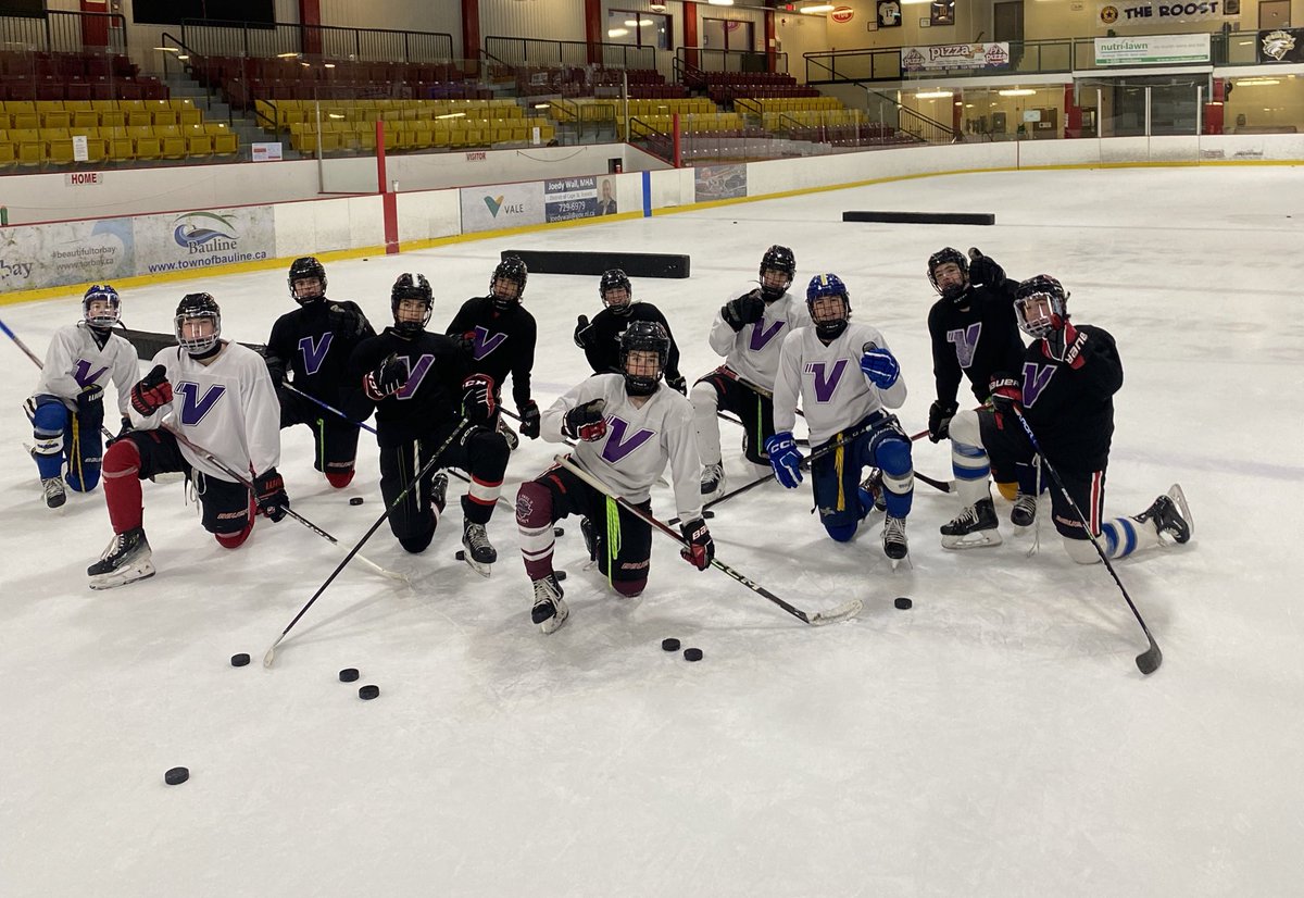 Vision Hockey Group tweet media