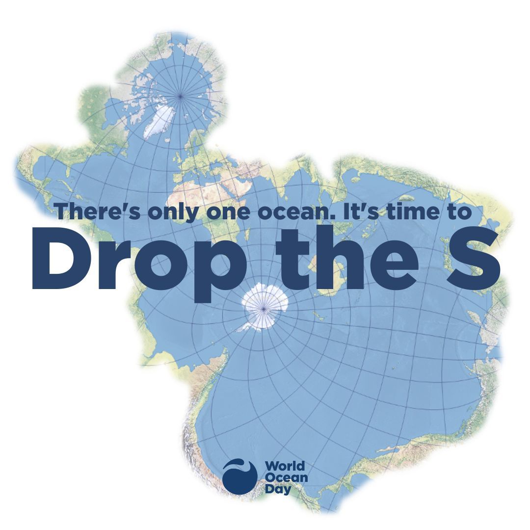 Choosing 'ocean' over 'oceans' highlights the interconnectedness of Earth's marine systems, fostering a global perspective on conservation. This singular term promotes a unified responsibility for safeguarding the well-being of our planet's shared oceanic ecosystem.