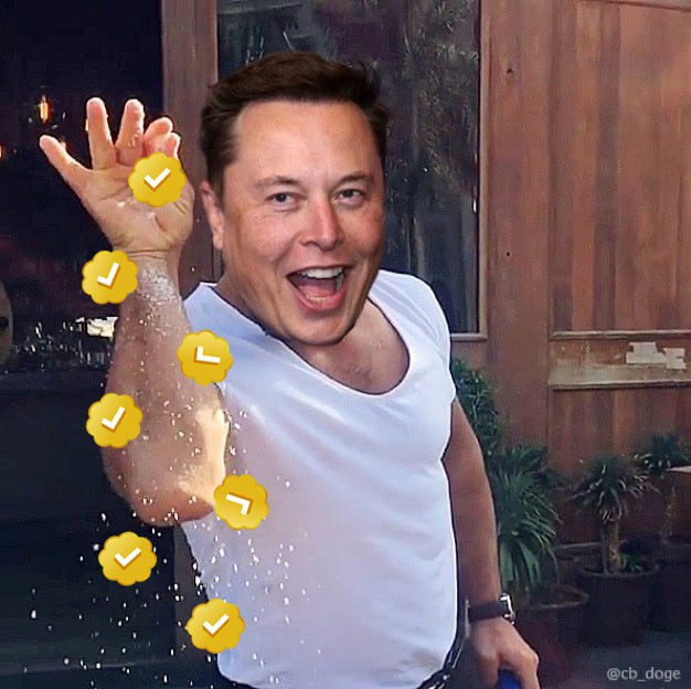 GM, It’s $CHECK Thursday! We Love You <a href="/elonmusk/">Elon Musk</a>