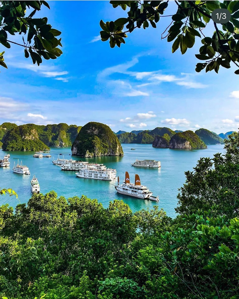 🇻🇳 Vietnam: A canvas of vibrant landscapes, from bustling city life to serene rice paddies. The essence of Vietnamese culture, cuisine, and the warmth of its people create an unforgettable tapestry. 🌏✨ #VietnamAdventures #CulturalJourney 🌟🍜