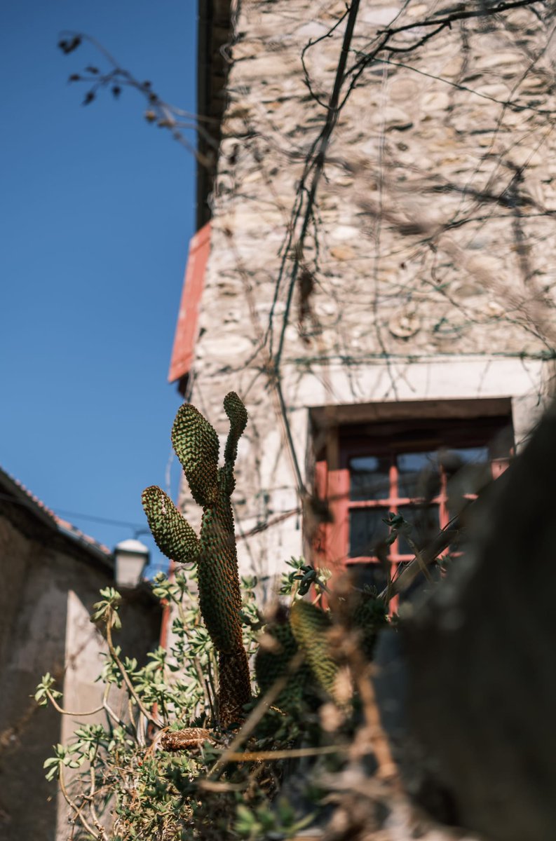 cmluttun tweet media