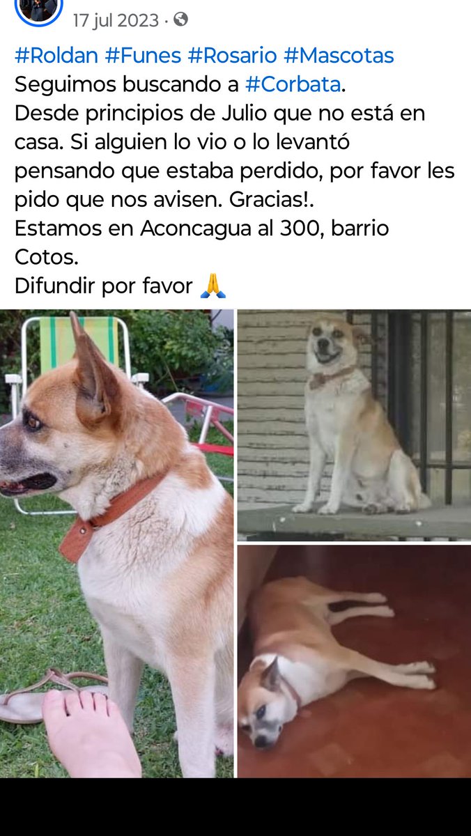 Por favor, lo seguimos buscando 😓
#Rosario #Funes #Roldán #Ibarlucea #Roldan #Mascotas #Mascoteros #Buscado