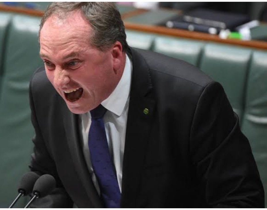 MissPolly62's tweet photo. Can the ABC @abcnews please interview either Monique Ryan David Pocock Zoe Daniel Zali Steggall or Helen Haines to give their opinions regularly instead of interviewing these LNP morons day in day out? https://t.co/Ux5gbDNWbO