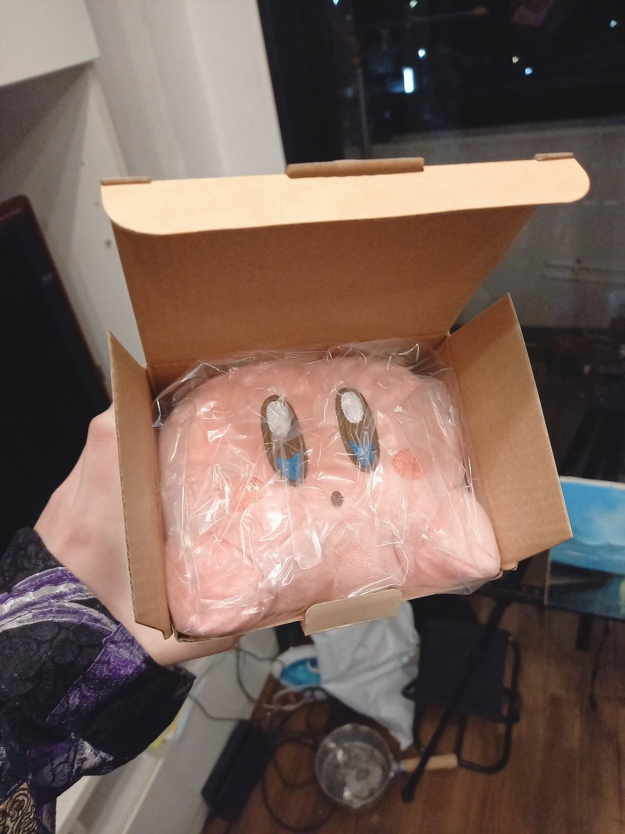 gilles_mmd's tweet photo. 今日届いたカービィ
梱包がとても良い https://t.co/xTqnhY8r2k