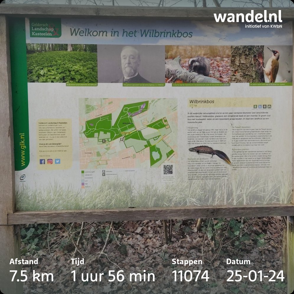 Mooi rondje gewandeld in het Wilbrinkbos op de Veluwe. ❤️