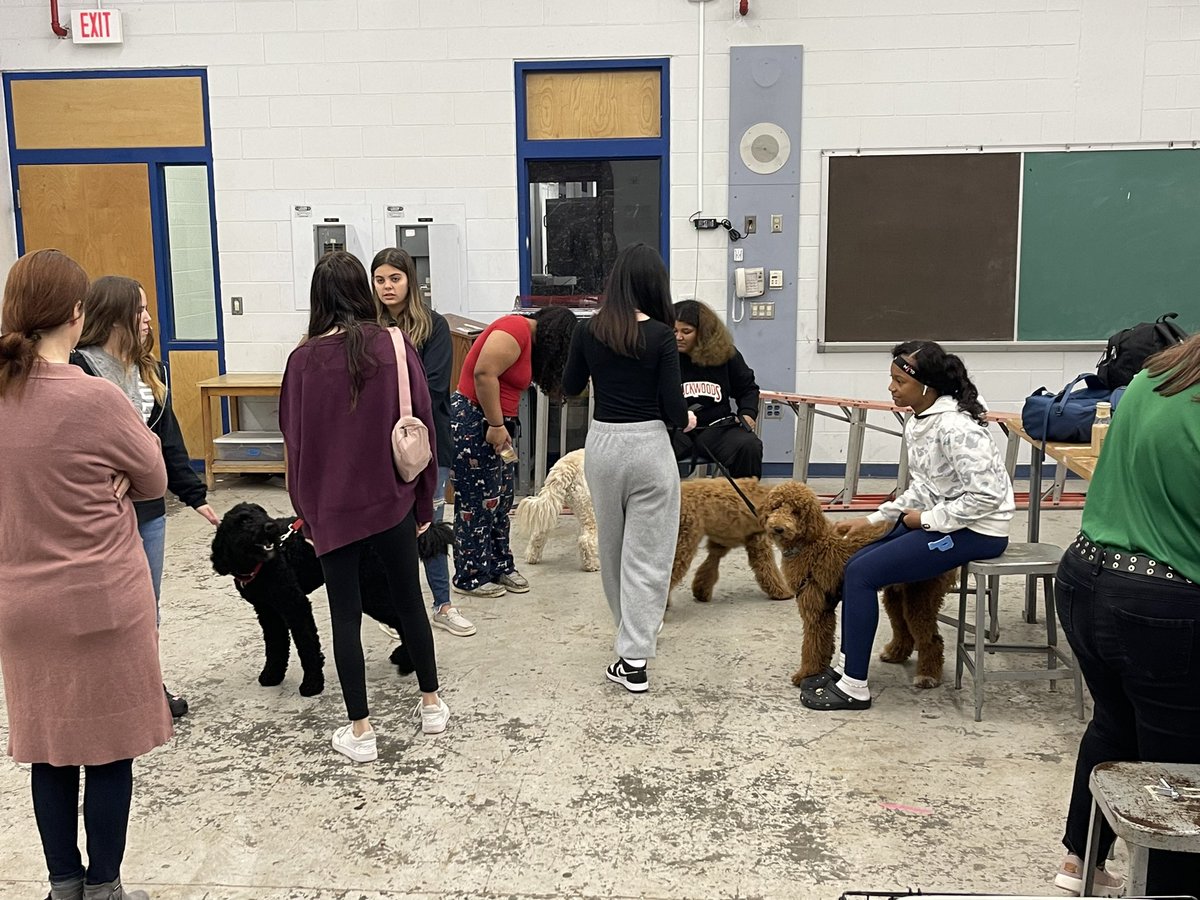 Graduation Day #doggydaycare <a href="/Armwood_HS/">Armwood High School</a>