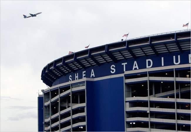 SheaHello tweet media