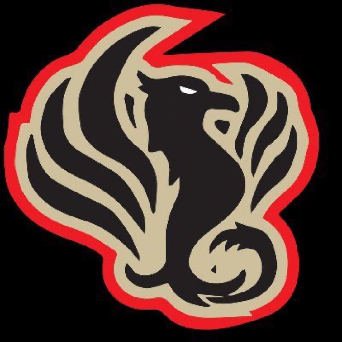 Thursday’s Blaze Events:

Wrestling Double Dual at Lakeville North 5:00pm!

Dance Team at the Farmington Invite 6:00pm!

<a href="/MSPhoenixHockey/">Metro-South Phoenix</a> Girls Hockey hosts Shakopee 7:30pm at Drake Arena!

Schedules/Tickets/Livestreams: southsuburbanconference.org/public/genie/1…