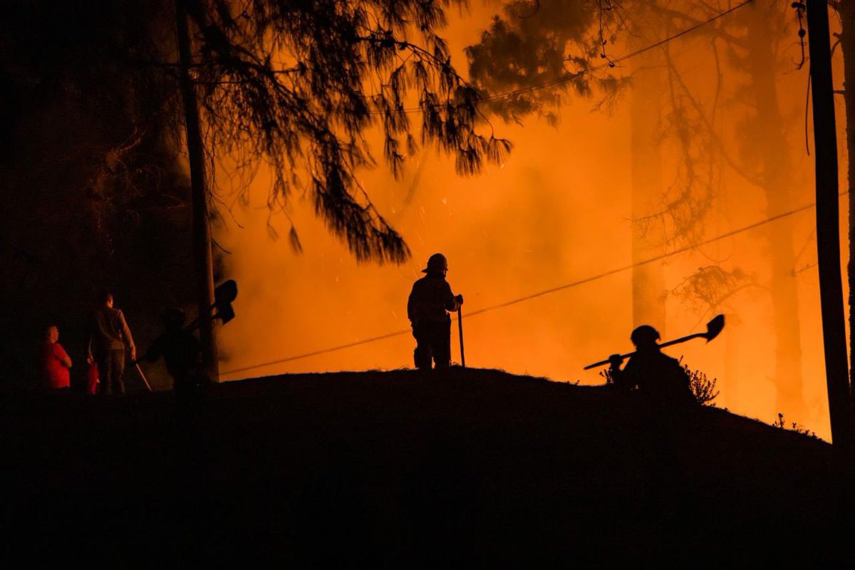 Carlos F. Galán tweet media