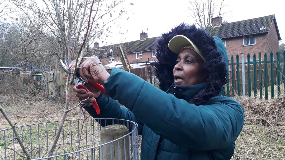 fruitnutvillage's tweet photo. Clearing new spaces this morning for our tree planting at #BeilbyRoadOrchard on the 4th February. We collected and removed a lot of litter and some dumped rubbish and we pruned all of the apple and pear trees too. https://t.co/zsw8rVgg9p