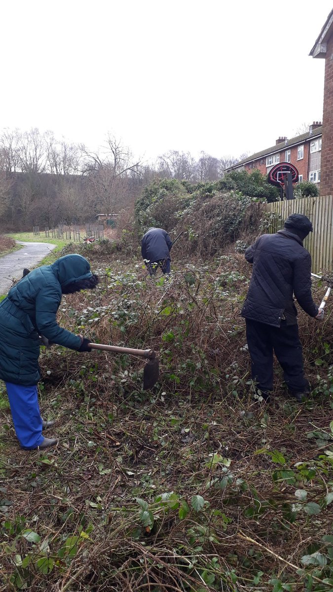 fruitnutvillage's tweet photo. Clearing new spaces this morning for our tree planting at #BeilbyRoadOrchard on the 4th February. We collected and removed a lot of litter and some dumped rubbish and we pruned all of the apple and pear trees too. https://t.co/zsw8rVgg9p