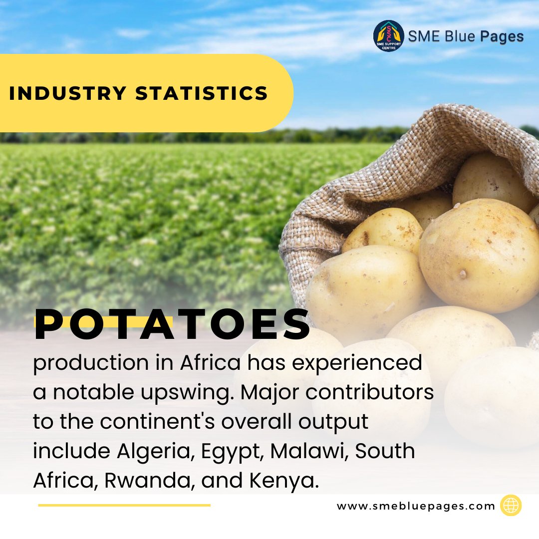 SME Blue Pages tweet media