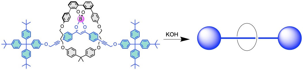 Yann Trolez (@ytrolez) on Twitter photo The very first article of <a href="/HicguetMatthieu/">Matthieu Hicguet</a> has just been accepted in <a href="/angew_chem/">Angewandte Chemie</a>. onlinelibrary.wiley.com/doi/10.1002/an…
It deals with the threading of linear molecules through macrocycles thanks to boron. We could isolate a rotaxane thanks to this methodology.
<a href="/chimie_ISCR/">ISCR</a> <a href="/ENSCR/">ENSCR</a> <a href="/RennesUniv/">Université de Rennes</a> The very first article of <a href="/HicguetMatthieu/">Matthieu Hicguet</a> has just been accepted in <a href="/angew_chem/">Angewandte Chemie</a>. onlinelibrary.wiley.com/doi/10.1002/an…
It deals with the threading of linear molecules through macrocycles thanks to boron. We could isolate a rotaxane thanks to this methodology.
<a href="/chimie_ISCR/">ISCR</a> <a href="/ENSCR/">ENSCR</a> <a href="/RennesUniv/">Université de Rennes</a>