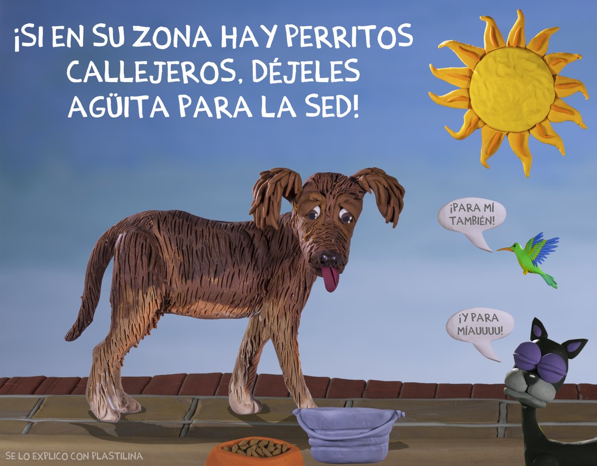 ¿Se lo explico con plastilina? tweet media