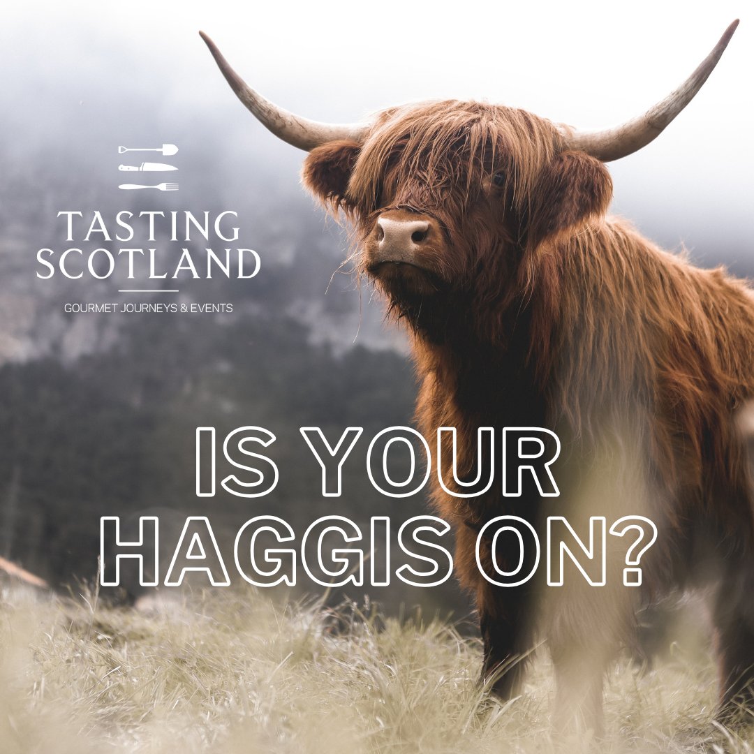 It’s (Robert) Burns Night! 

Are  you celebrating the birthday of Scotland’s National Poet with a piping hot plate of haggis, Neeps and tatties?  

#burnsnight #haggis #food#poet #scotland #scottish #culture #history #scottishtraditions #whisky #Scotch #culinary #tradition