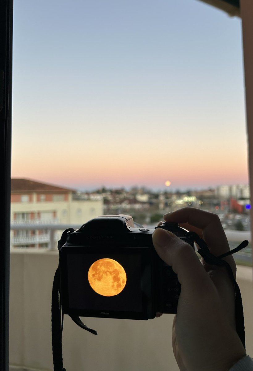 Prescilia tweet media