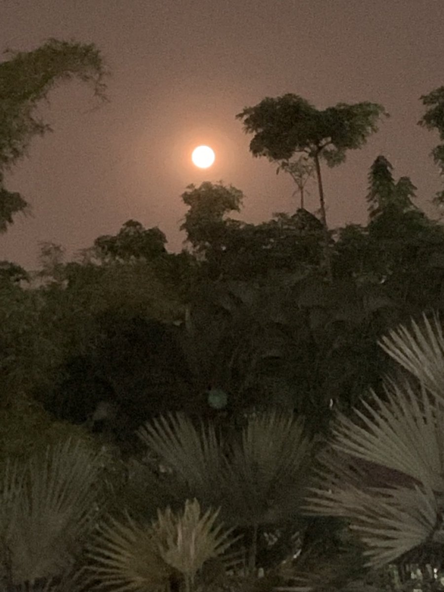 Anil Kumar (@alahamanil) on Twitter photo Moon shot from <a href="/elitapromenade/">elita promenade</a> wading pool. <a href="/nammaElita/">Elita Promenade Owners Association</a> <a href="/anil_lulla/">Anil Budur Lulla</a> <a href="/kirankumaar/">Kiran</a> Moon shot from <a href="/elitapromenade/">elita promenade</a> wading pool. <a href="/nammaElita/">Elita Promenade Owners Association</a> <a href="/anil_lulla/">Anil Budur Lulla</a> <a href="/kirankumaar/">Kiran</a>