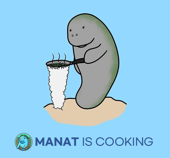 $MANAT Manatea The Metis Manatee (@manateametis) on Twitter photo 