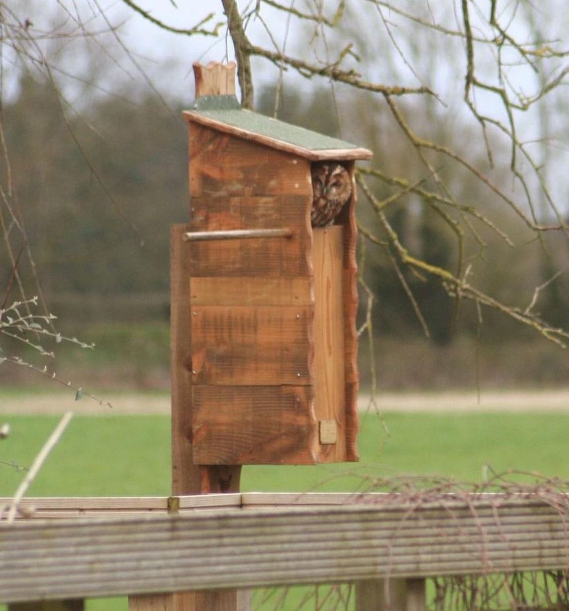 JennyruthW's tweet image. It's the @Natures_Voice Big Garden Bird Watch 26th - 28th January🐦
How many birds can you spot in your garden?
Bonus points if they're on any of our bird boxes or feeders😁

Click here to sign up: buff.ly/3OebEX1 
#RSPB #Birds #NestingBoxes