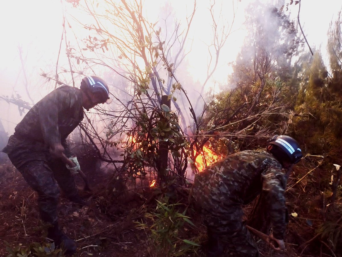 #GloriaAlSoldado | Gloria a esos hombres y mujeres que sin temor a nada y con absoluta determinación, siempre están firmes en defensa de nuestra amada Colombia 🇨🇴
#PatriaHonorLealtad