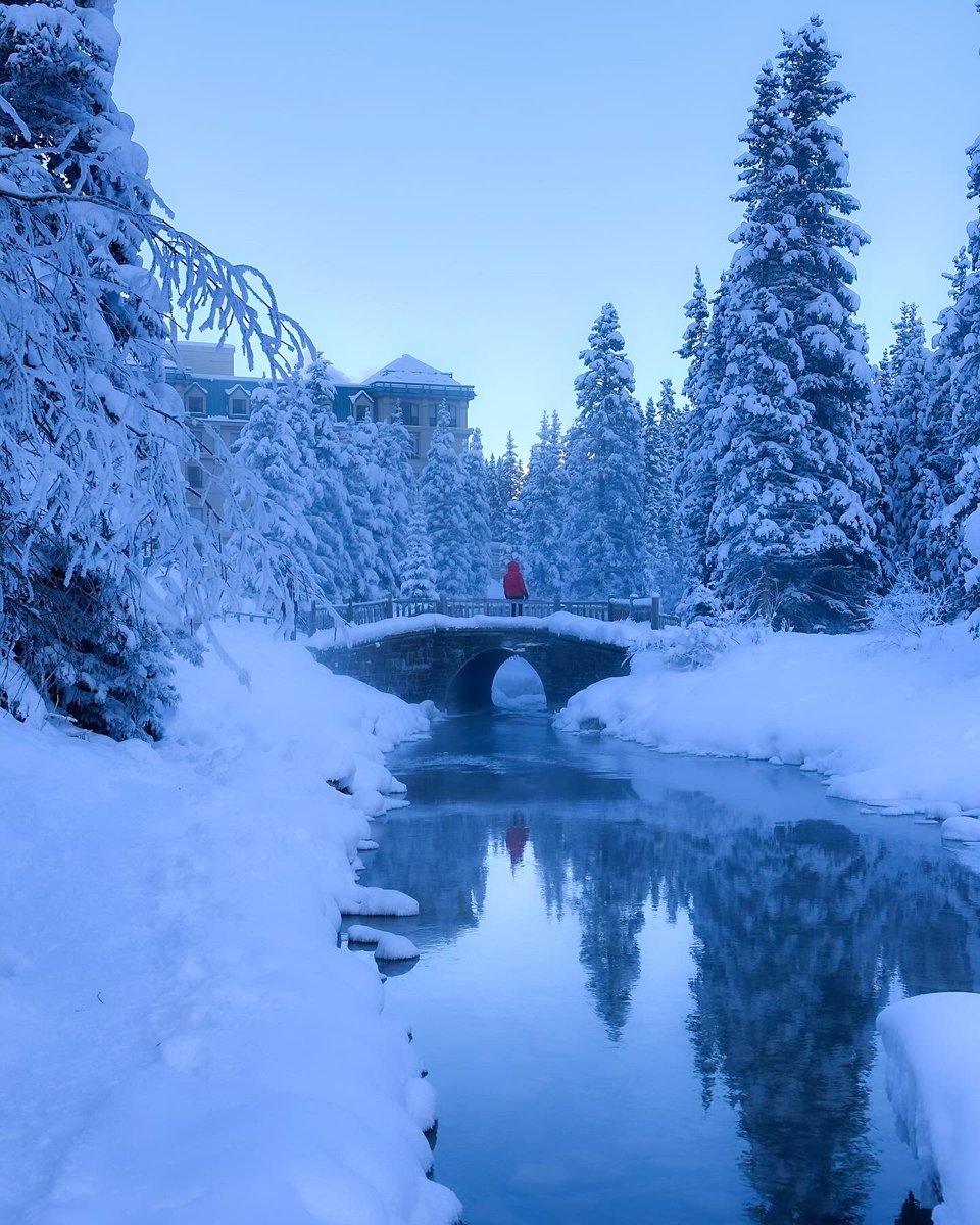 Inside a snow globe How’s your week going? I have been chained up to my desk these days and I look forward to the weekend. The chinook temperatures are a welcome change, a far cry from last week.🥶 📍Lake Louise, Alberta