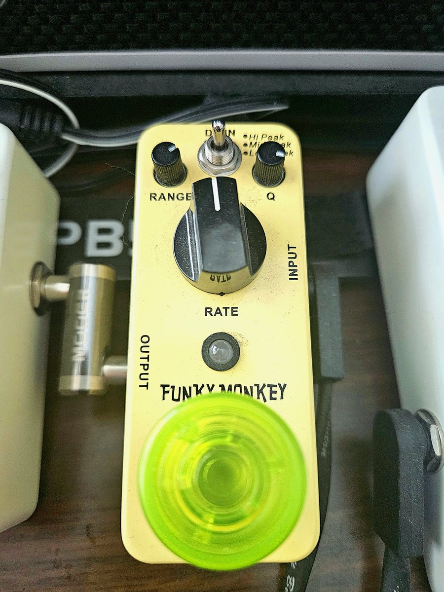 spiggotpaddy's tweet photo. @GetMyGuitars The humble funky monkey 🐒 https://t.co/z3AIFSZCVZ