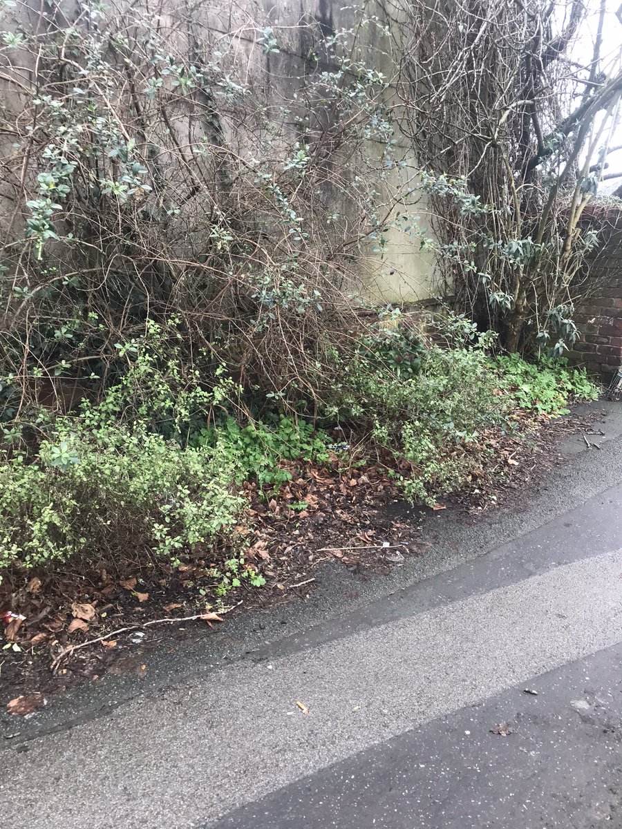 Knutsford Town Ranger tweet media