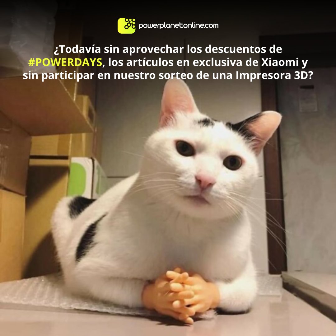 PowerPlanet_es's tweet photo. No podemos evitar sentirnos identificados con este gato...
#powerdays #powerplanet #descuentos #ofertas #meme #sorteo #xiaomi https://t.co/ngOMVEejrJ