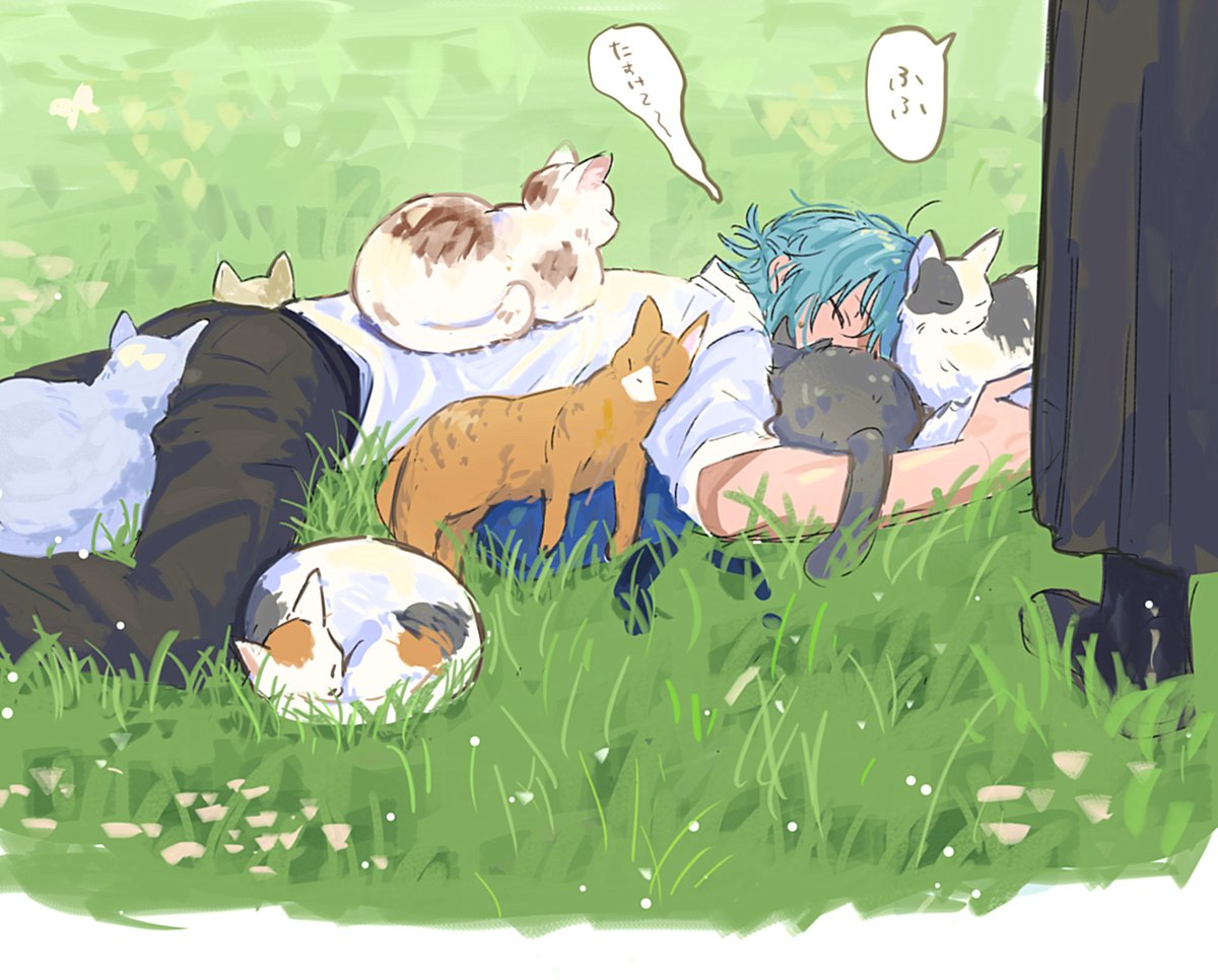 🐈🐈🐈🐈