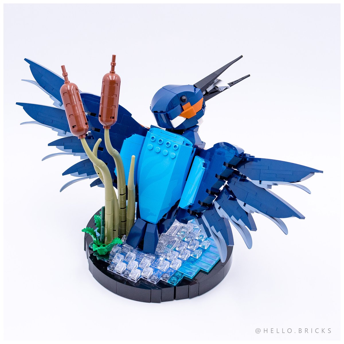 HelloBrickscom's tweet image. Review LEGO Icons 10331 Kingfisher Bird ► hellobricks.com/2024/01/review…

@LEGO_Group #LEGO #AFOL #LEGO2024 #rlfm #reviews #LEGO10331 #kingfisher #birds #wildlife #martinpecheur