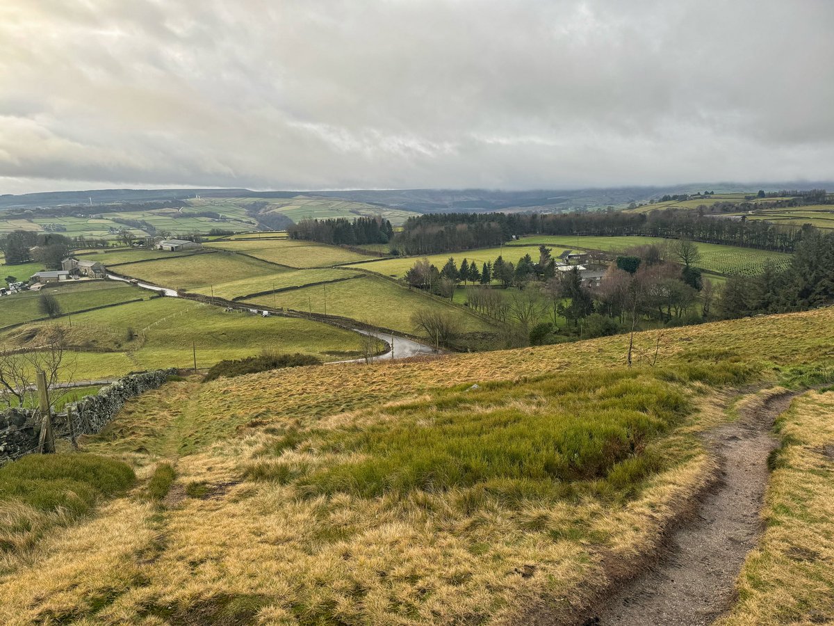 Mel Sykes tweet media