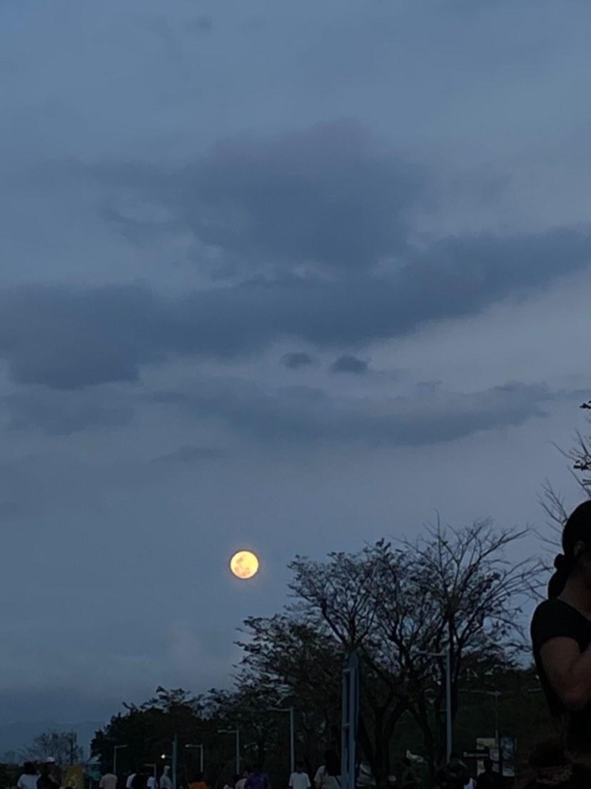 neor0n's tweet photo. you will forever be my moon ~moonbin! 🥺
@offclASTRO https://t.co/oRRPhRIHM0