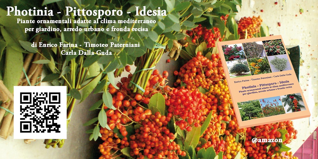 Photinia - Pittosporo - Idesia
Piante ornamentali adatte al clima mediterraneo
per giardino, arredo urbano e fronda recisa
note sulla produzione e utilizzo per professionisti e amatori
urly.it/3rxzt
#bookstagramitalia #TheWriters_Heaven #writerscommunity #spilledink
