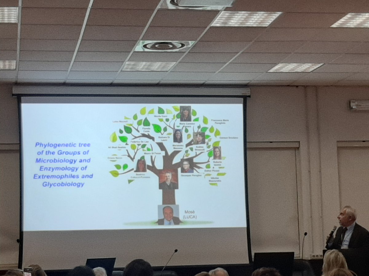 L'albero filogenetico di Mosè Rossi >> <a href="/MarcoMoracci/">marco_moracci</a>