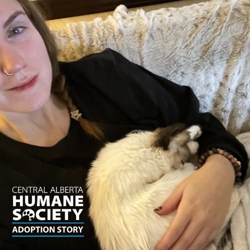 cahumanesociety's tweet photo. Happy Thursday! Here's another Happy Tails Adoption Story! 🐾
💓 We absolutely LOVE receiving updates on CA Humane's adopted pets. Thank you for choosing adoption!
Read about Tofu here: https://t.co/jBhfEFKd2t
#AdoptDontShop #CAHSAdoptionStory #CAHumane https://t.co/dKHS29xdId