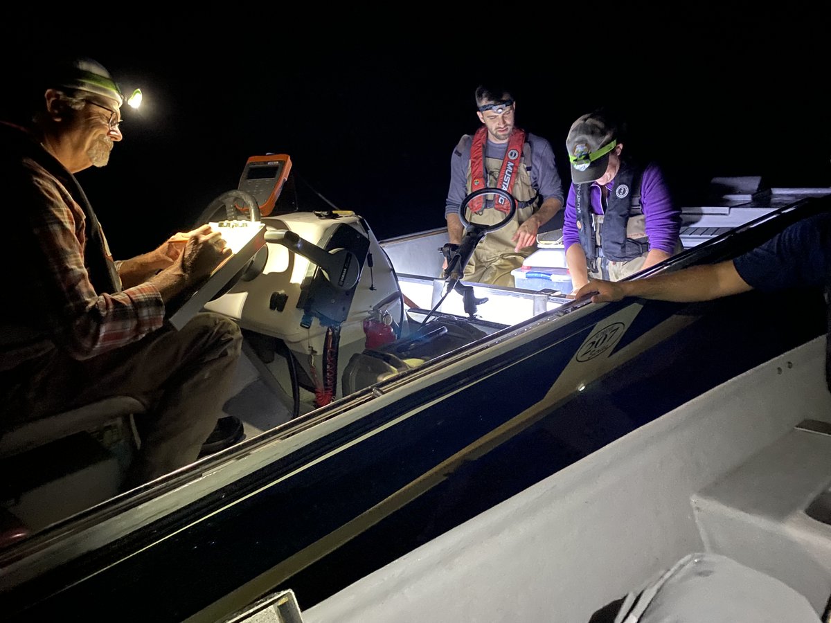 Please Share: 

9 Paid Summer internships located across the state in Fisheries, Research and Education Divisions with AGFC. Great opportunities to get experience for undergraduate students majoring in conservation or fisheries fields.  

jobs.agfc.com