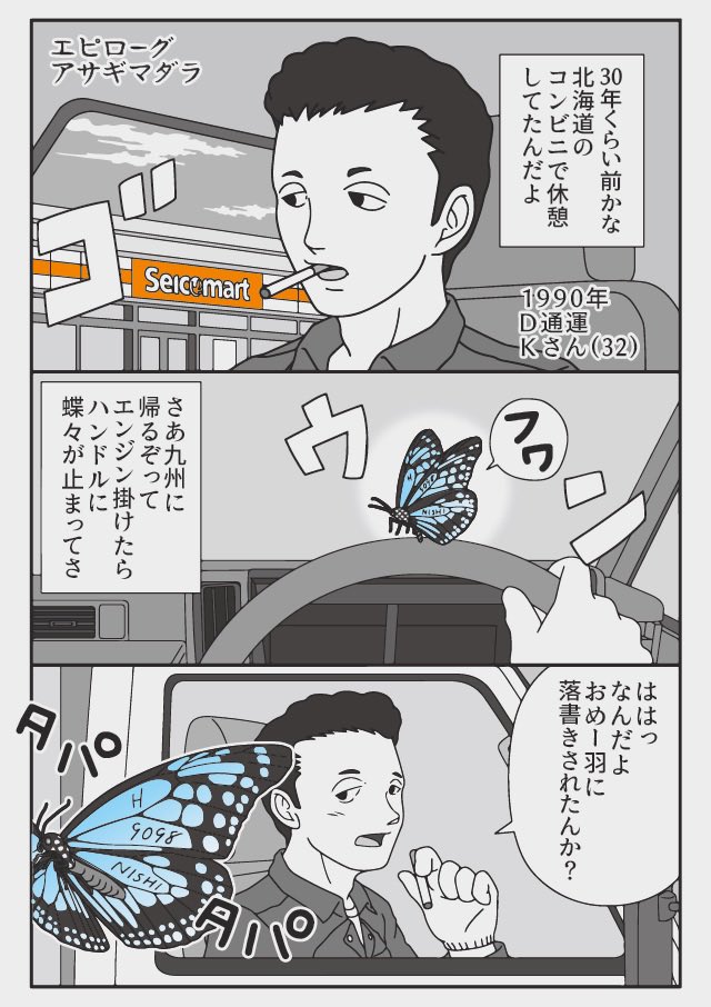 長い旅をする蝶 アサギマダラ(1/2) 